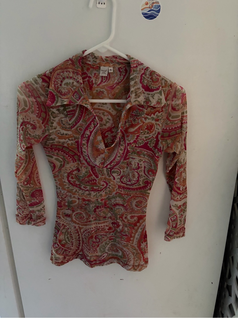 Sheer Paisley V-Neck Long Sleeve Top - Pink Multi